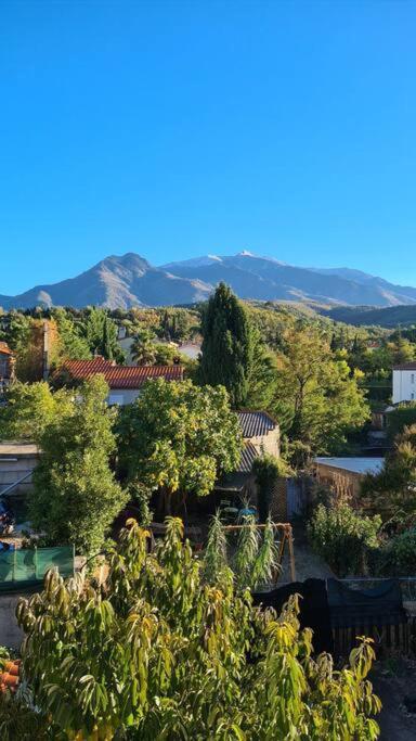 Le Cocon En Coeur De Ville Prades  Luaran gambar